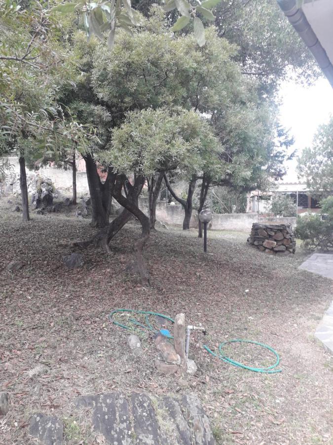 B&B Nuraghes Olbia Ngoại thất bức ảnh